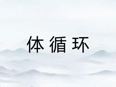 体循环