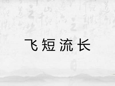 飞短流长