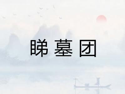 睇墓团