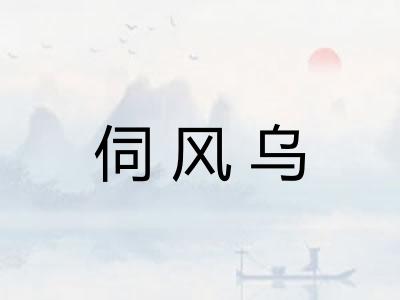 伺风乌