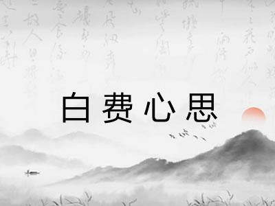 白费心思