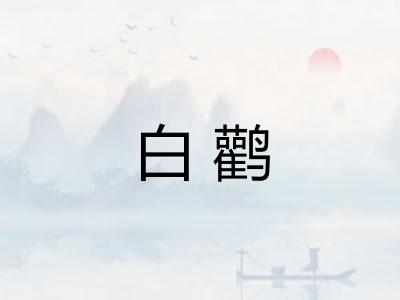 白鹳