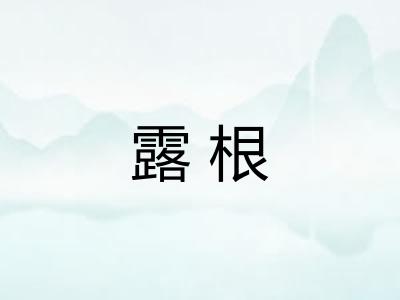 露根