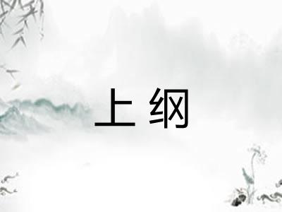 上纲