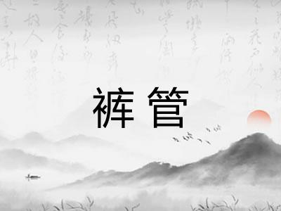 裤管