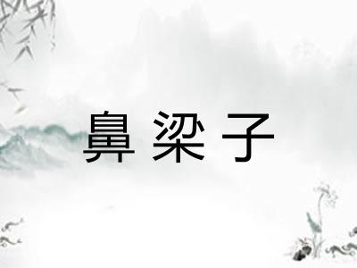 鼻梁子