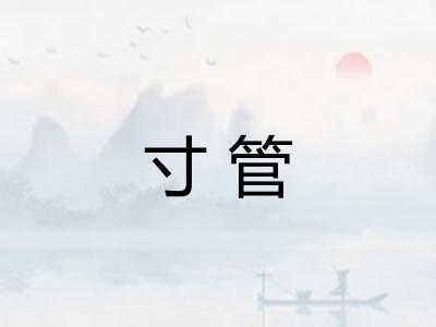 寸管