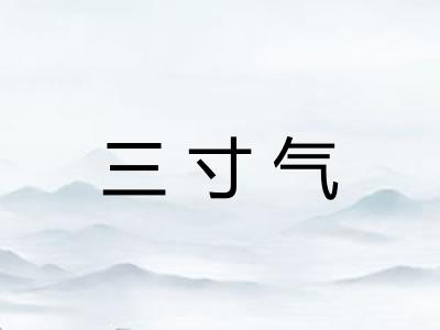 三寸气