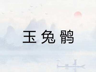 玉兔鹘