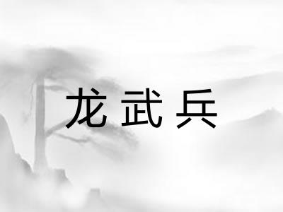 龙武兵