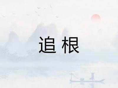 追根