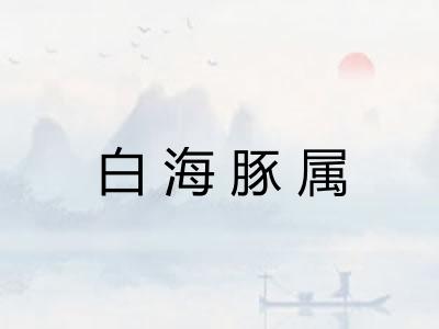 白海豚属