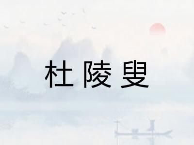 杜陵叟