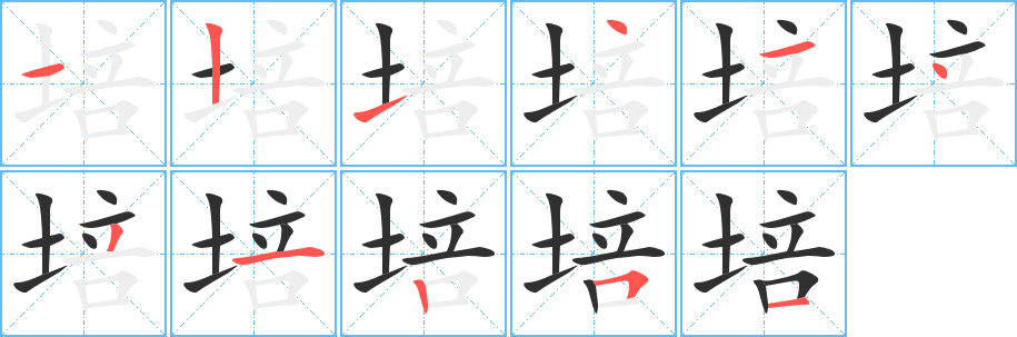 培的笔顺分步演示图