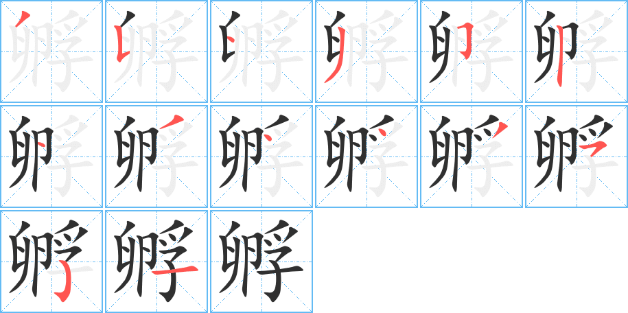 孵的笔顺分步演示图