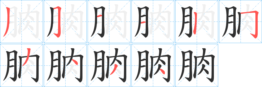 朒的笔顺分步演示图