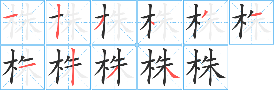 株的笔顺分步演示图