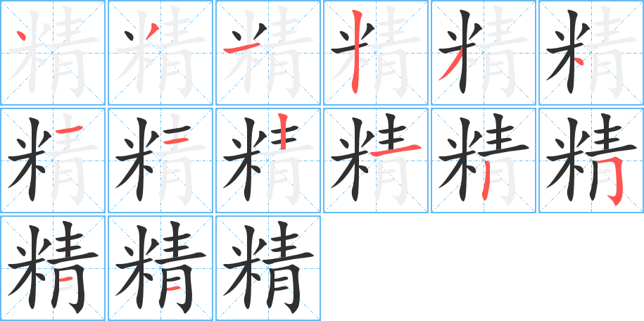 精的笔顺分步演示图