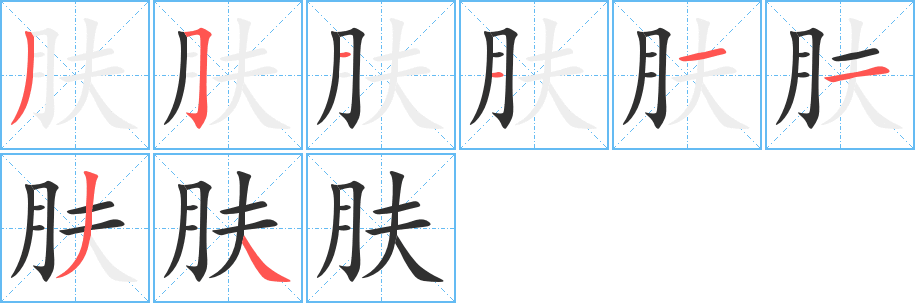 肤的笔顺分步演示图