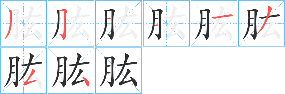 肱的笔顺分步演示图