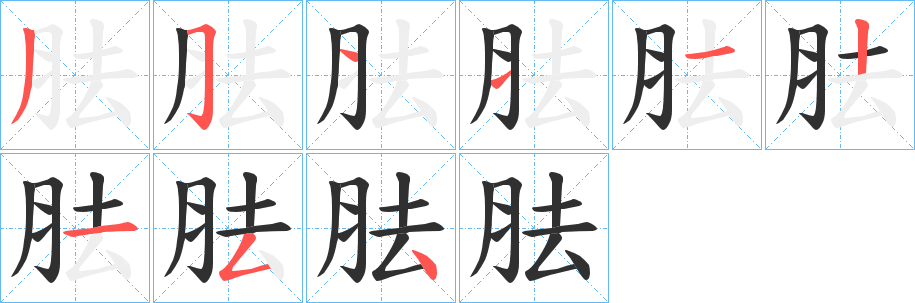 胠的笔顺分步演示图