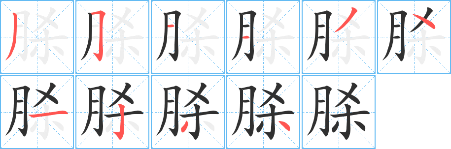 脎的笔顺分步演示图