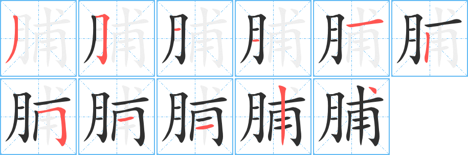 脯的笔顺分步演示图