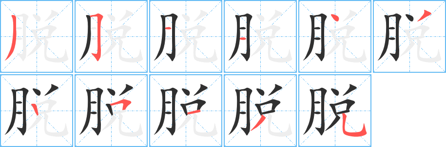 脱的笔顺分步演示图