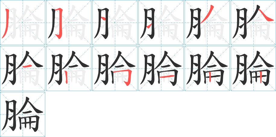 腀的笔顺分步演示图