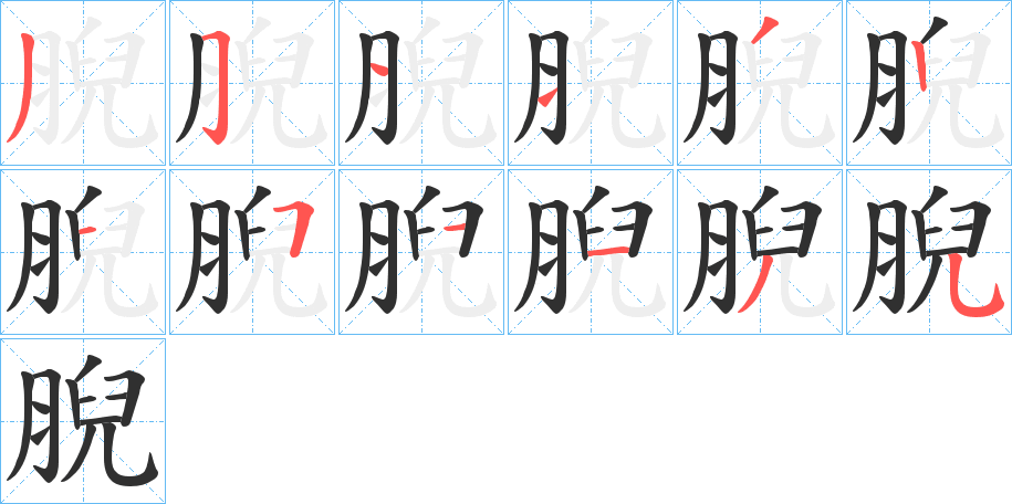 腉的笔顺分步演示图