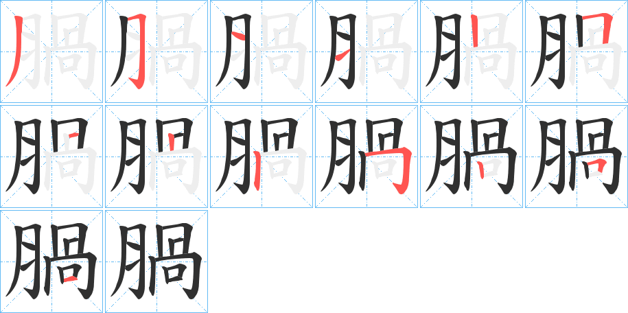 腡的笔顺分步演示图