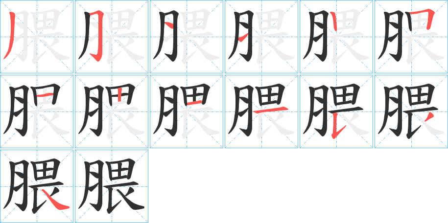 腲的笔顺分步演示图