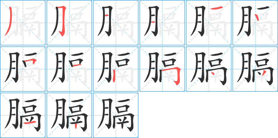 膈的笔顺分步演示图