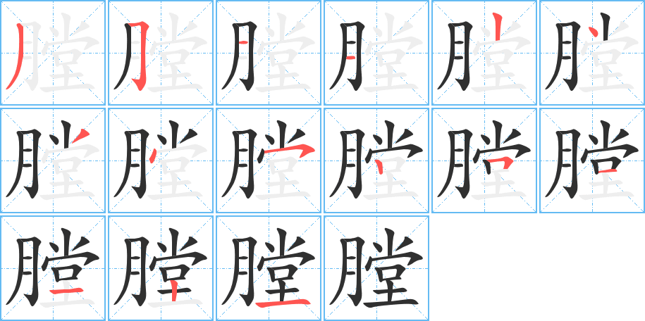 膛的笔顺分步演示图