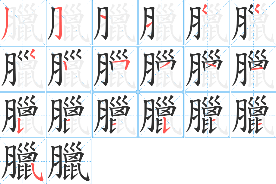 臘的笔顺分步演示图