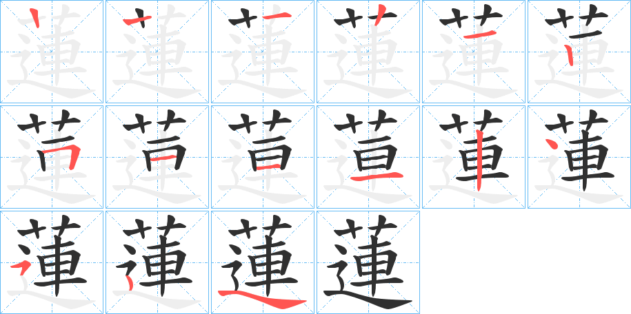 蓮的笔顺分步演示图