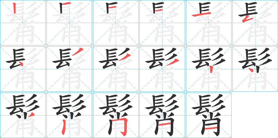 髾的笔顺分步演示图