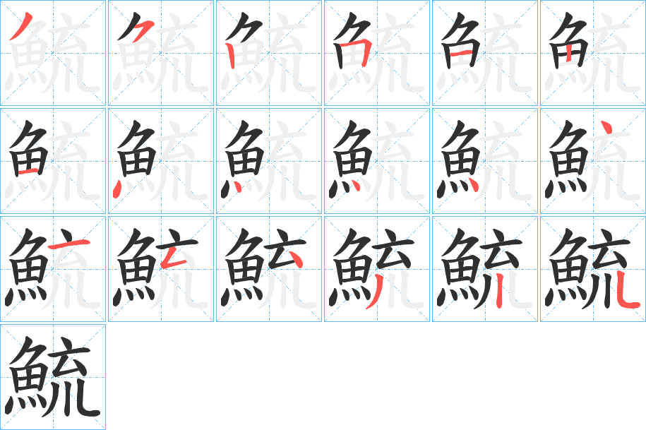 鯍的笔顺分步演示图