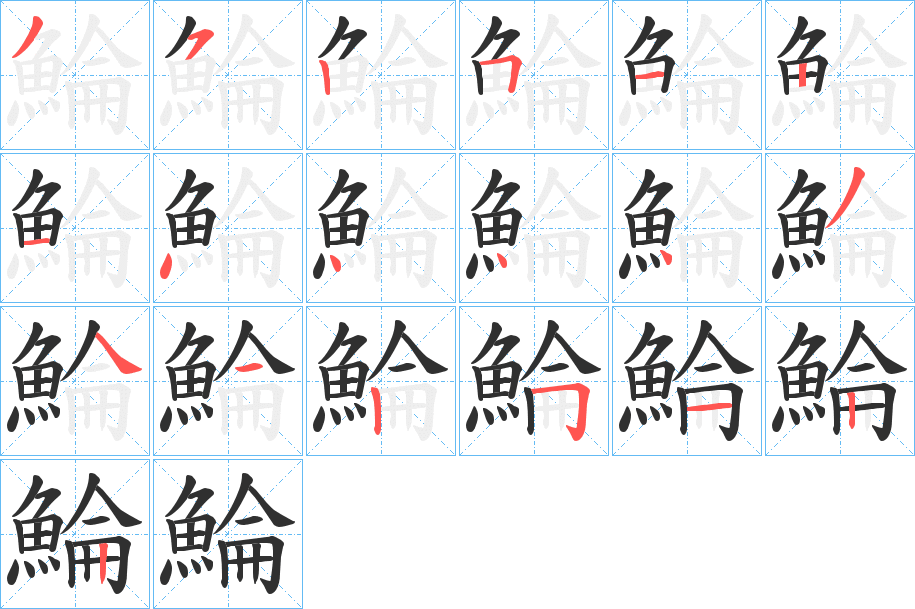 鯩的笔顺分步演示图