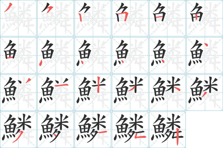 鱗的笔顺分步演示图