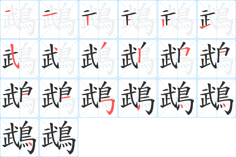 鵡的笔顺分步演示图