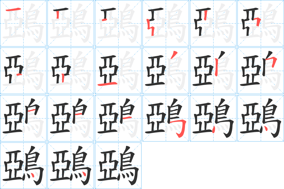 鵶的笔顺分步演示图