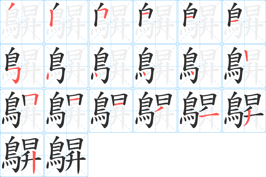 鵿的笔顺分步演示图