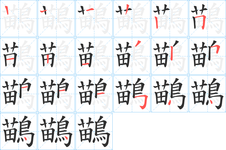 鶓的笔顺分步演示图