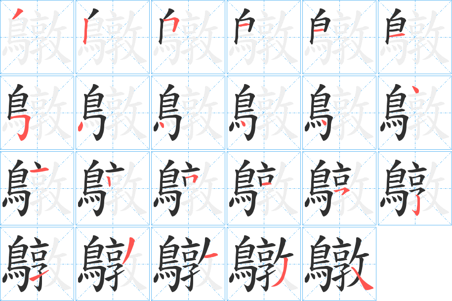 鷻的笔顺分步演示图