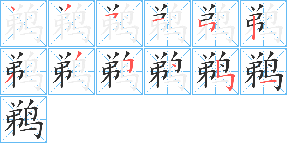 鹈的笔顺分步演示图