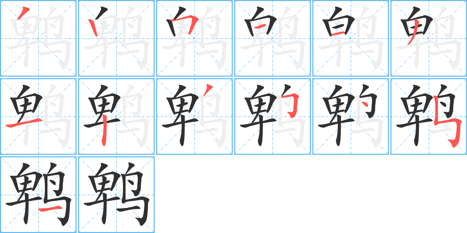 鹎的笔顺分步演示图