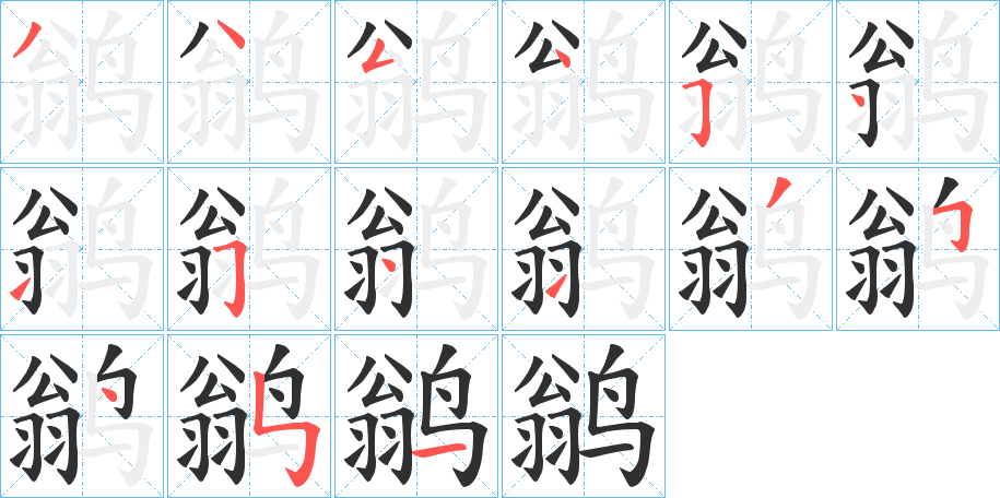 鹟的笔顺分步演示图